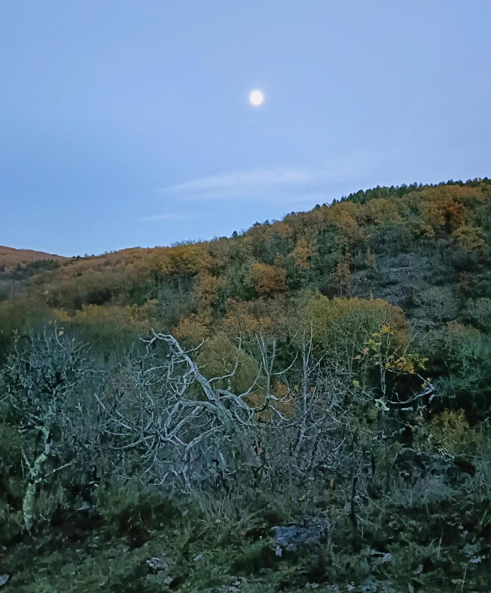 Vila L'Etoile De Zakiel Cambayrac Exteriér fotografie